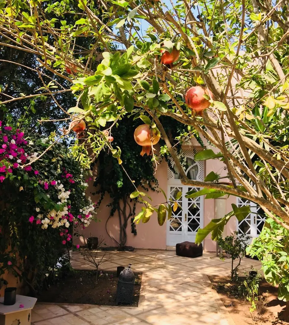 Riad Des Golfs Agadir 3*,  Maroko